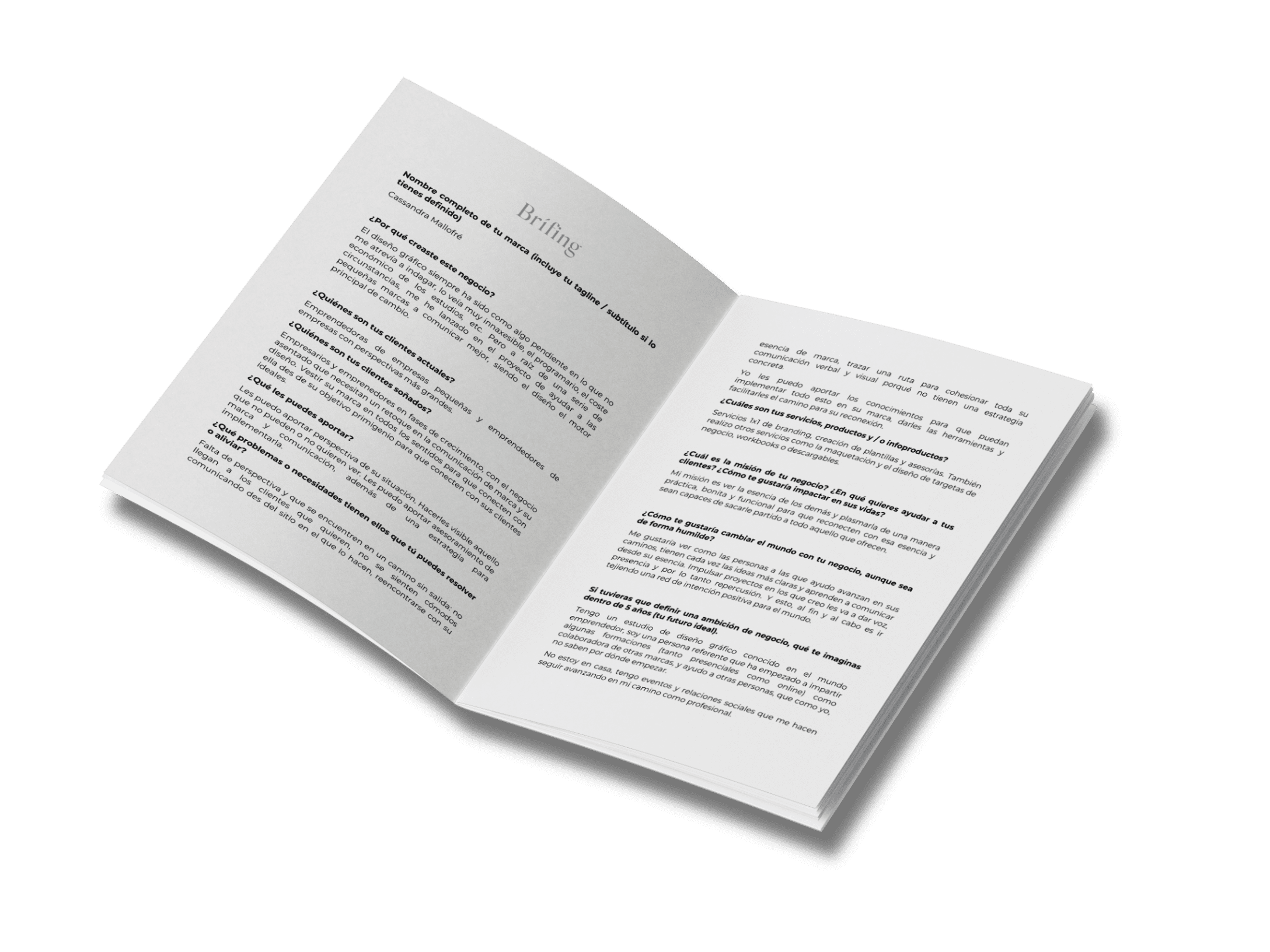 brifing documento